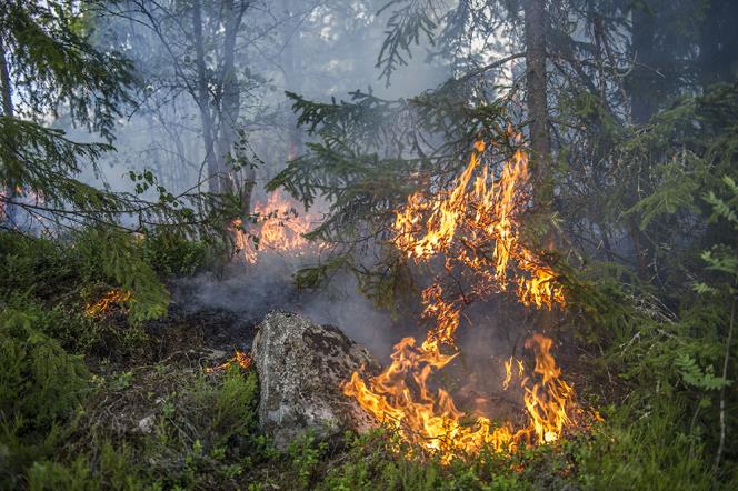 Skogsbrand i Fagersta