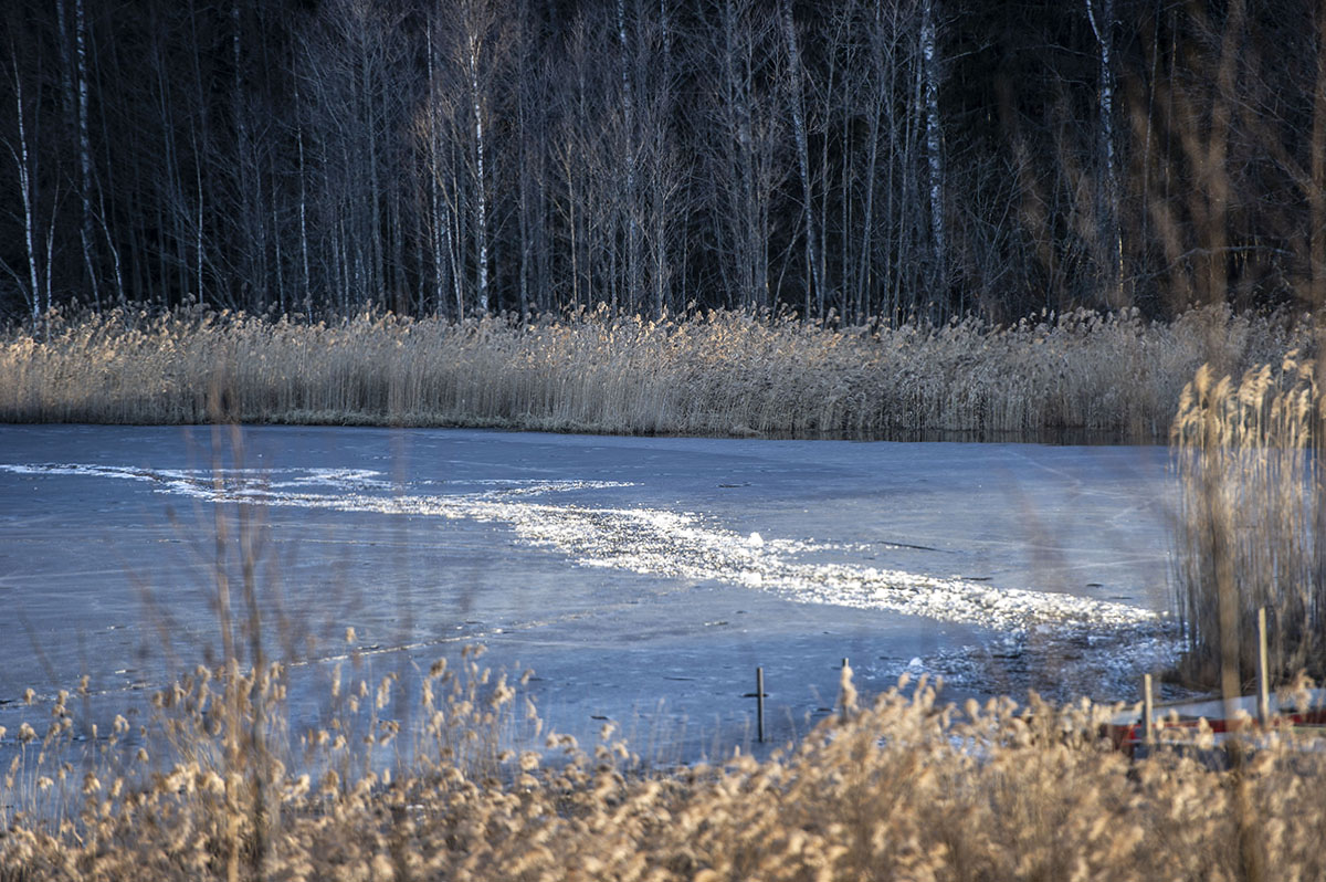 DSC_0004.jpg