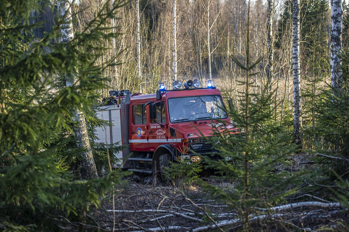 DSC_0005.jpg