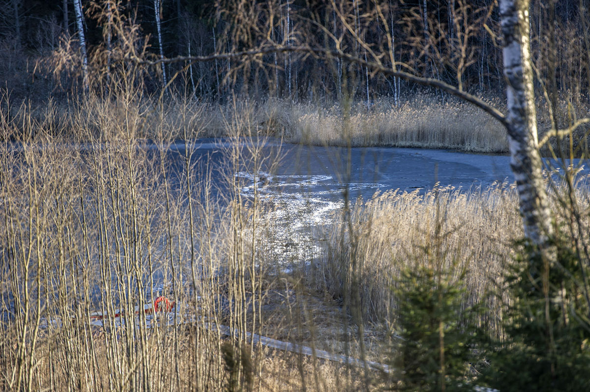 DSC_9983.jpg