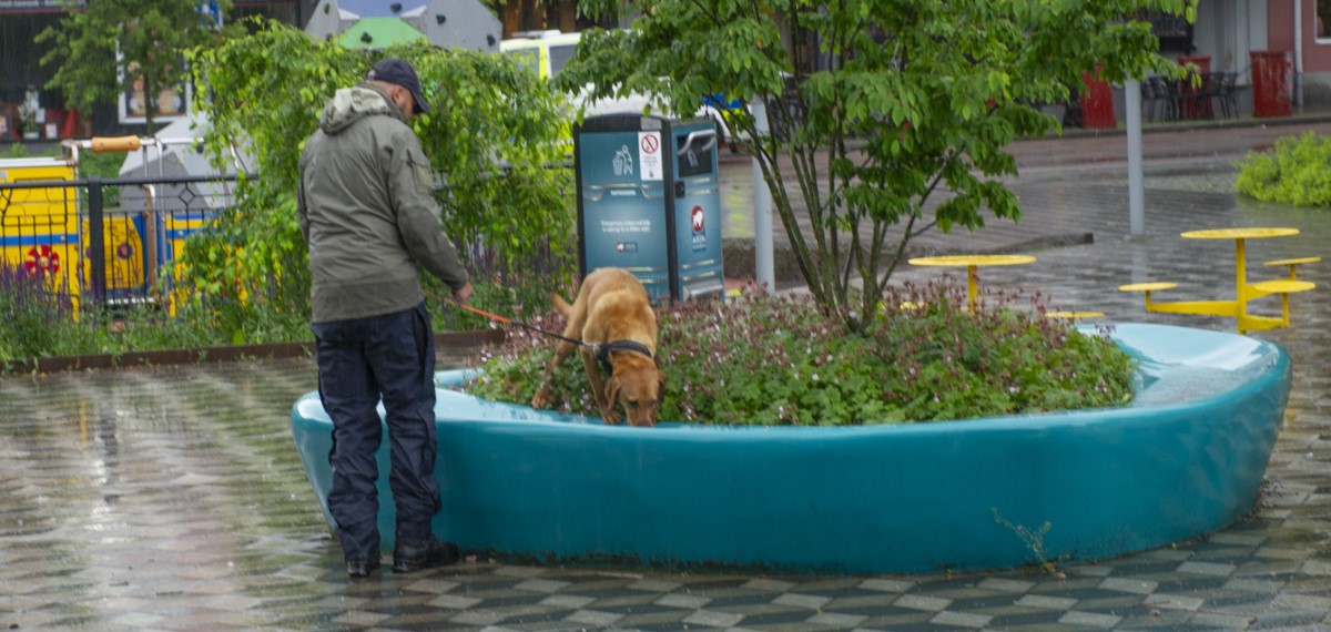 DSC_0342.jpg