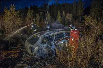 DSC_7217.jpg