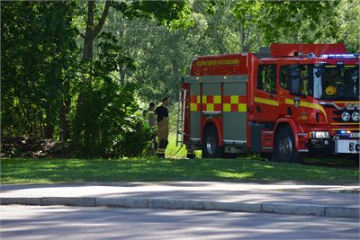 D6H_2350.JPG