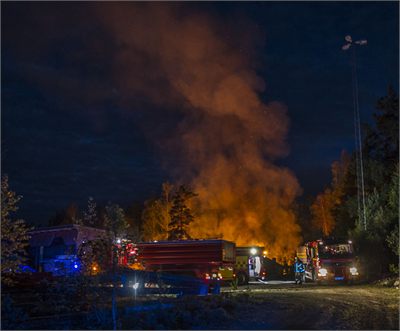 DSC_8548.jpg