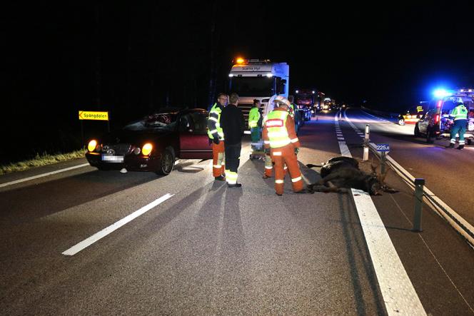 En till sjukhus efter lgolycka p E22