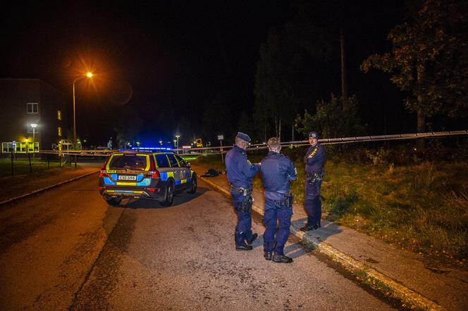 Misstnkt skottlossning i Ludvika
