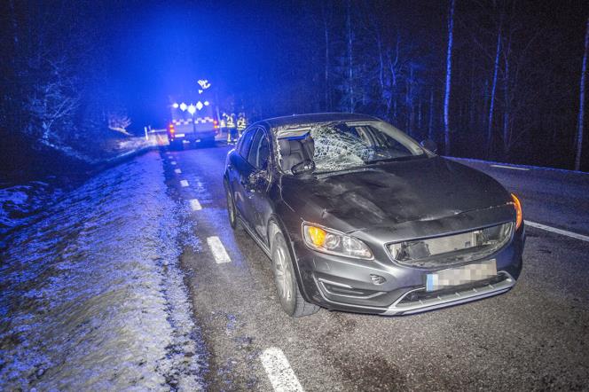 �lgolycka p� v�g 69 utanf�r Hedemora