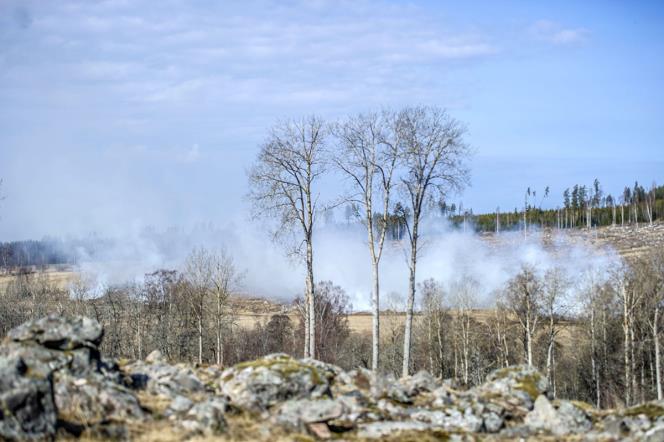 JAS-plan upptckte rk  befarade skogsbrand