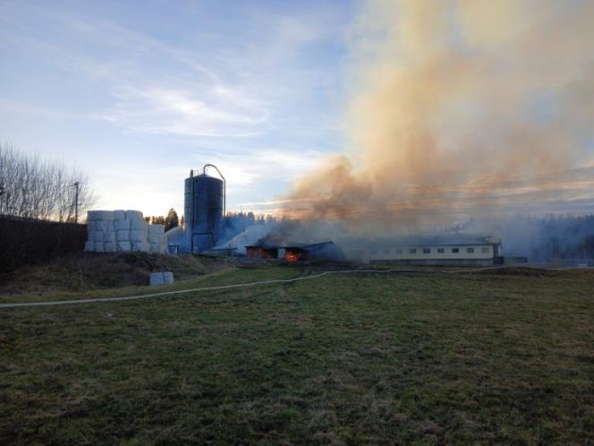 Ladugård förstörd i kraftig brand
