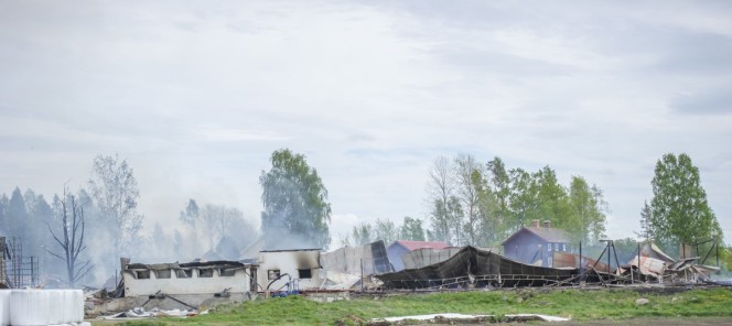 Brand i lantbruksbyggnad spreds till skog och flera byggnader